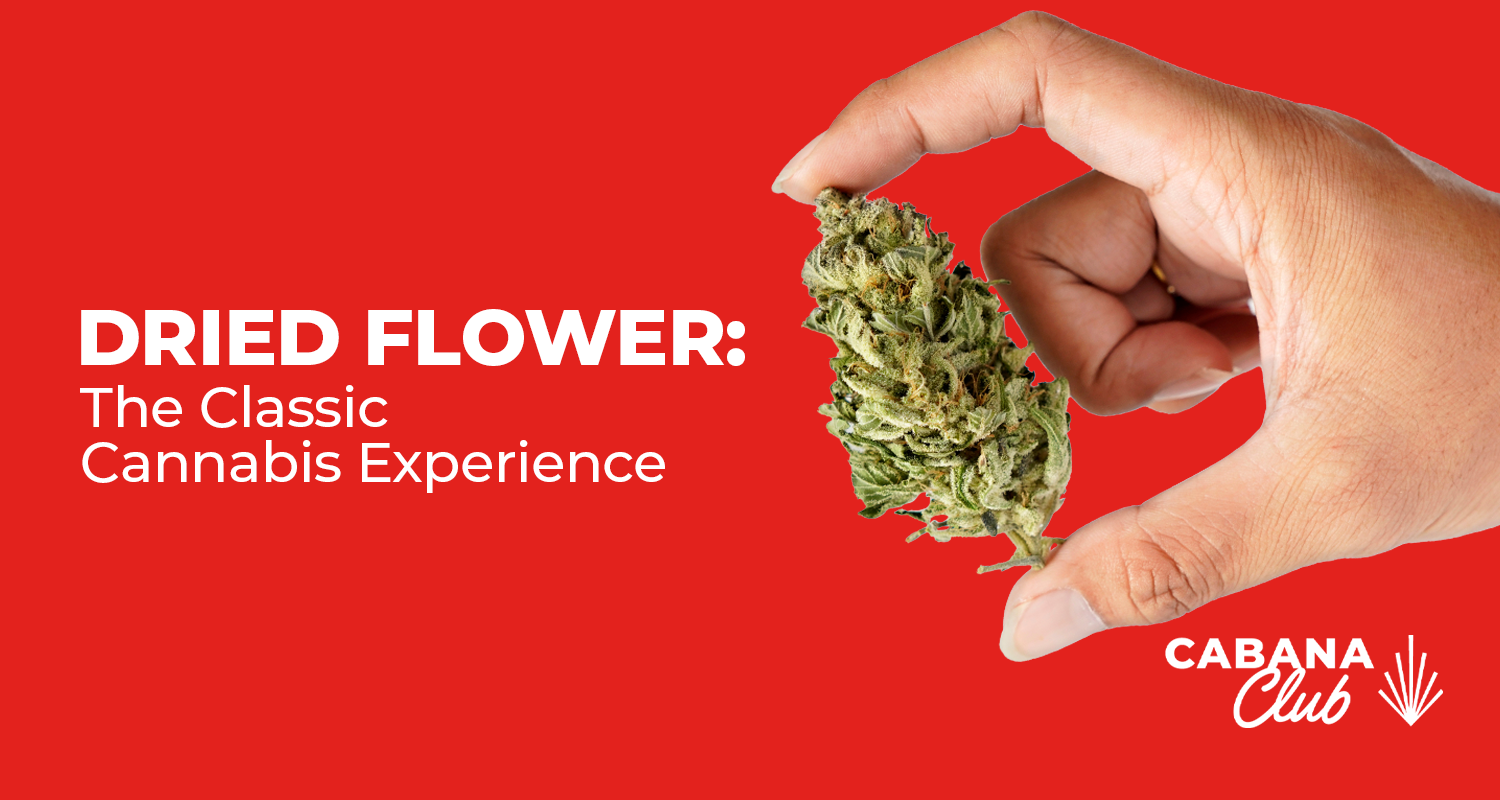 Dried Flower: The Classic Cannabis Experience